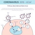 Typical virus replication cycle. Coronavirus 2019-nCoV